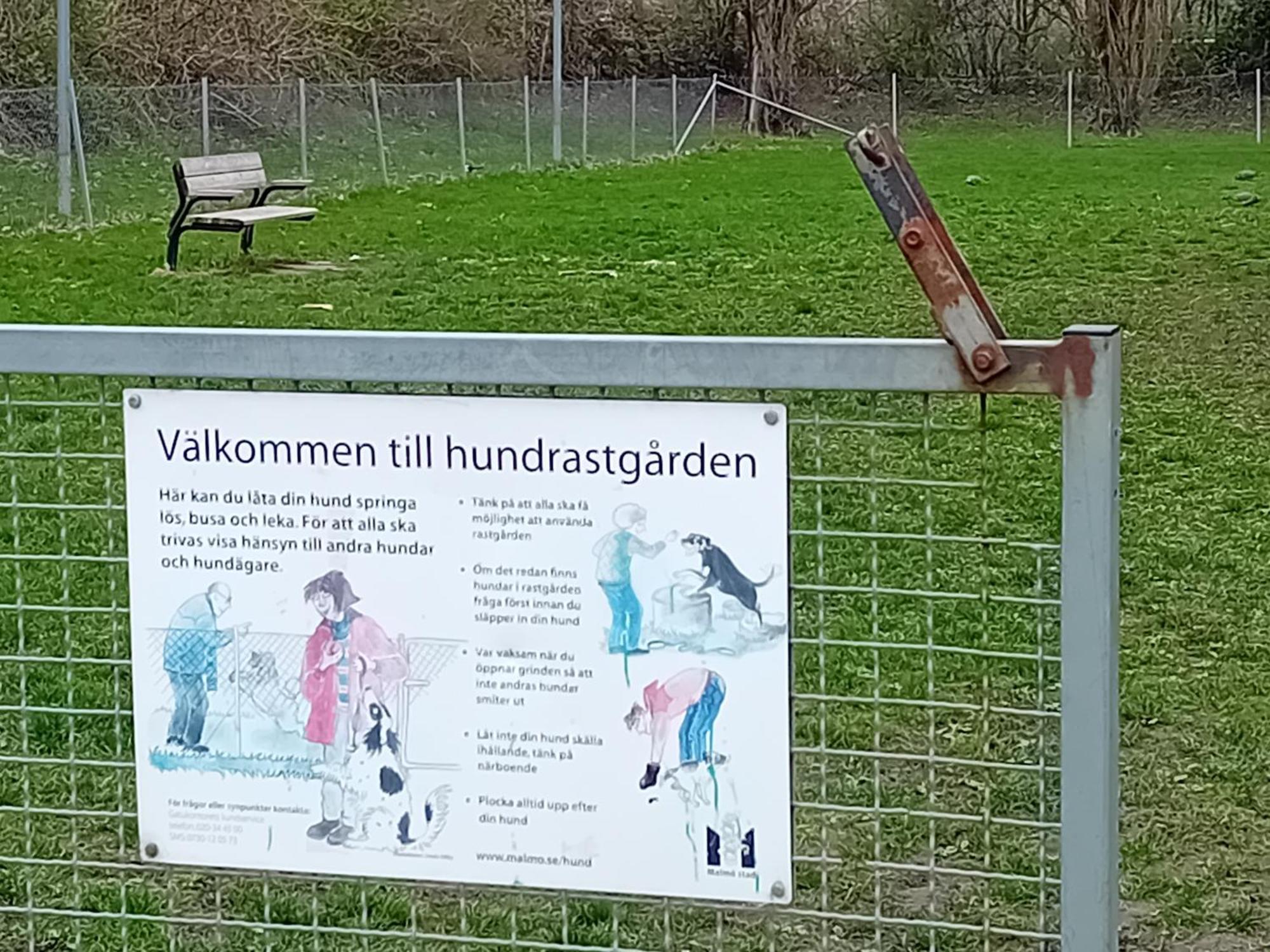 Naza Cool Villa! Malmø Eksteriør billede